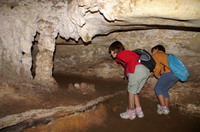 wet caves